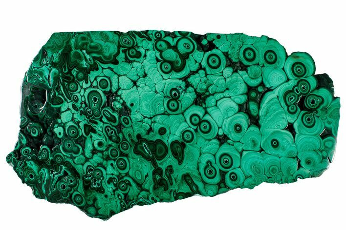 Flowery Polished Malachite Slab - DR Congo #302476